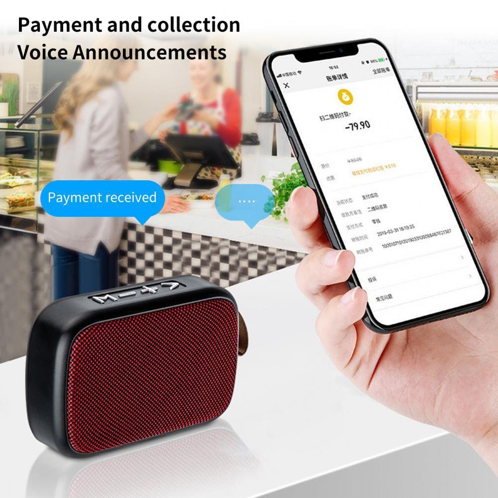 Loa Nghe Nhạc Bluetooth Không Dây TAYLOR1 G2 Âm Thanh Siêu Trầm Và Phụ Kiện
