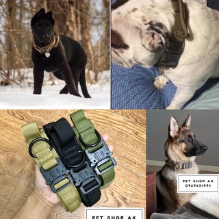 Vòng cổ chó to chốt kim loại bấm đẹp độc đủ kích thước cho rott, pitbull,lab, husky