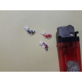 Phôi cá koi mini làm đồ handmade