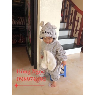 Body lông Hình chuột