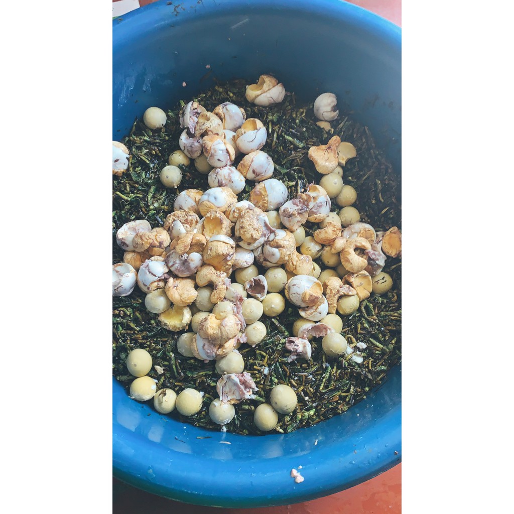 Cám chim chào mào Dưỡng BIRDFOODS - 200g