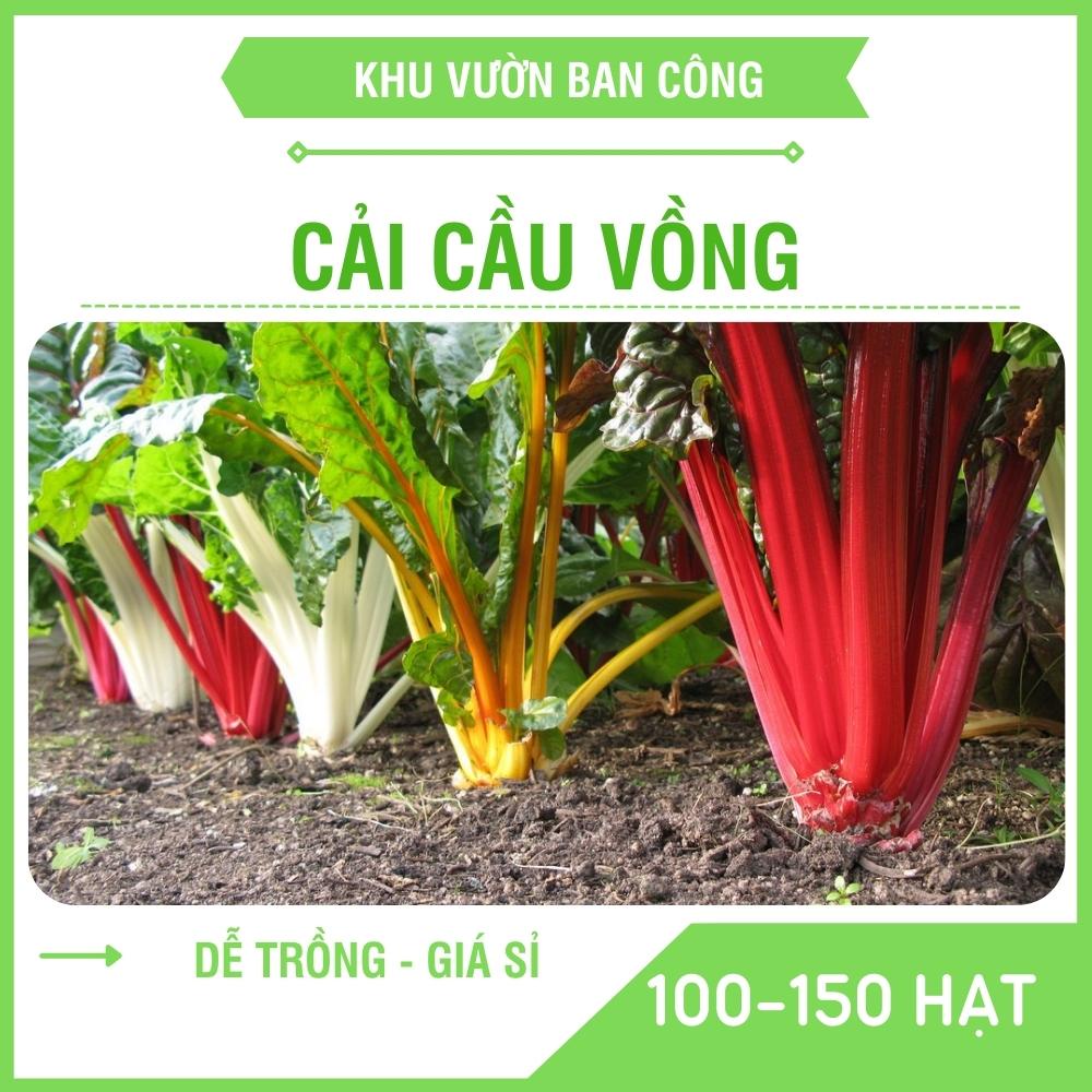 Hạt Giống Cải Cầu Vồng Nhiều Màu Sắc Dễ Canh Tác 100-150 Hạt - Khu Vườn Ban Công