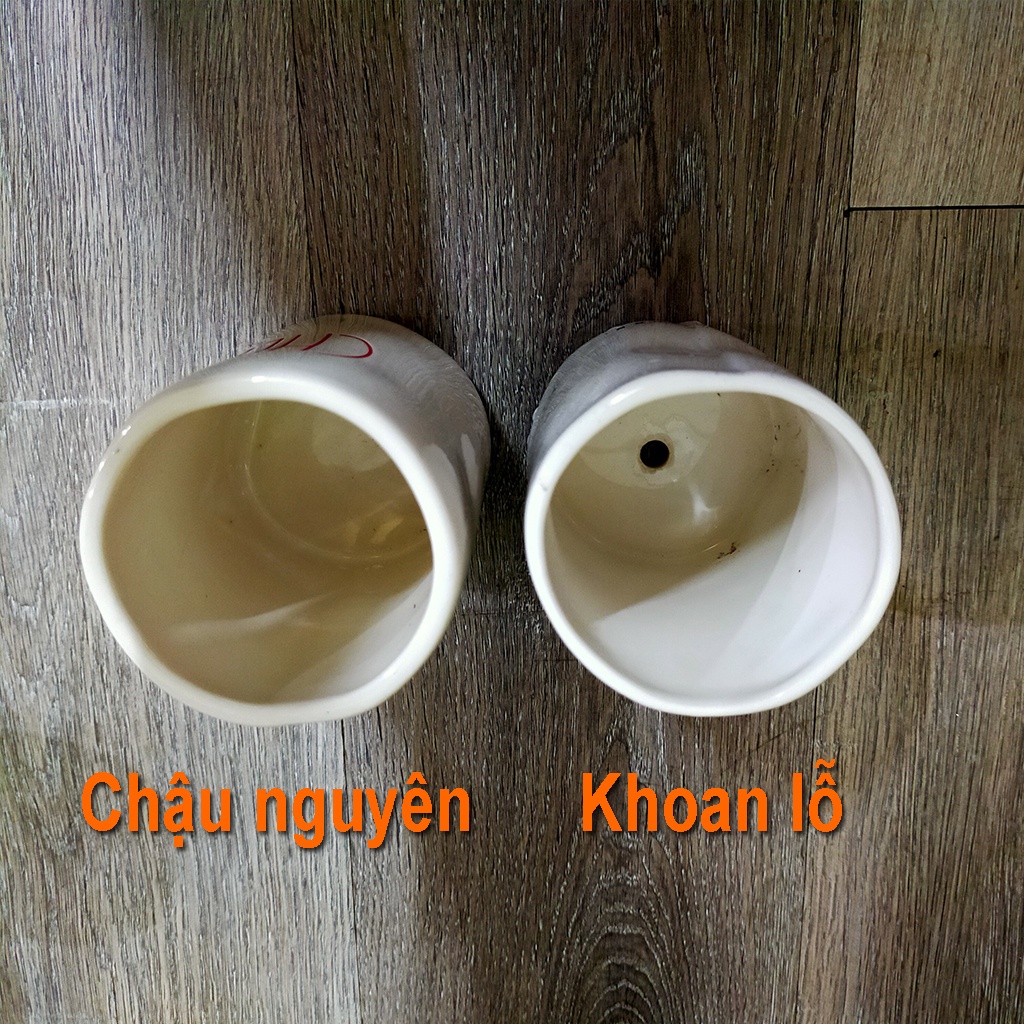 Chậu Sứ Mini Trồng Cây Để Bàn D8x10cm, Chậu Sứ  Bóng - Thủy Canh Miền Trung