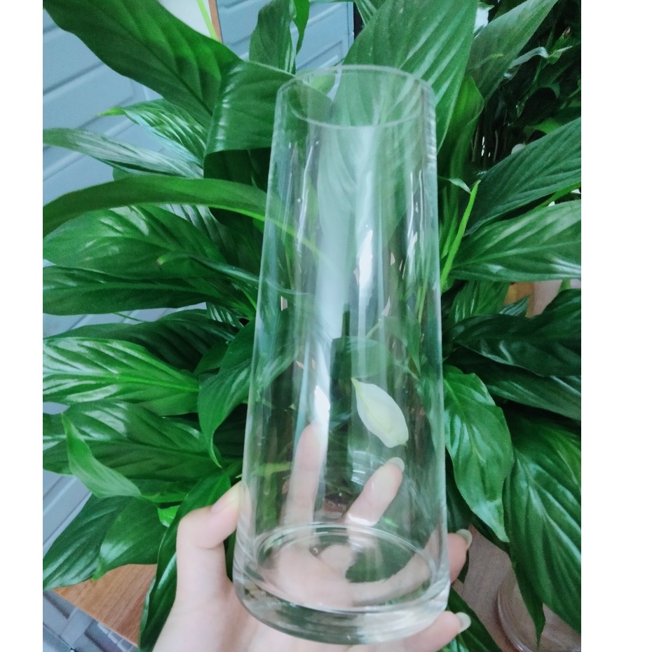 Bình thủy tinh trụ vát miệng nhỏ cắm hoa độc lạ [ THỦY TINH SIÊU TRONG]