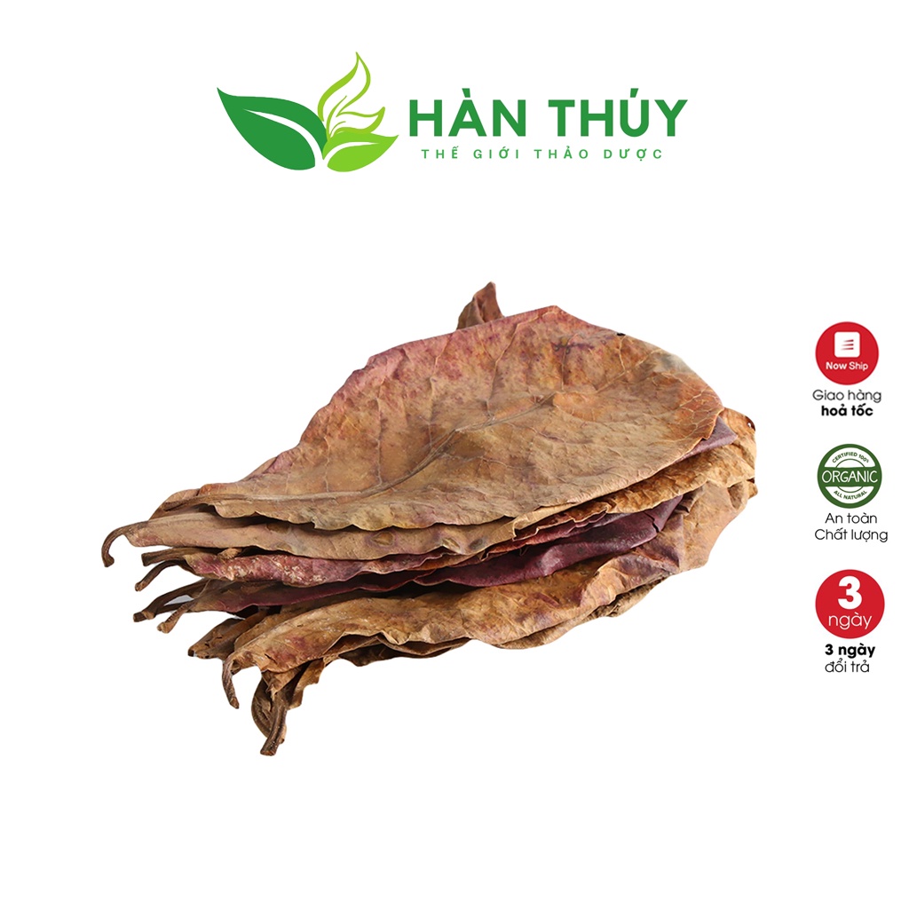 Lá Bàng Khô - Thần Dược Cá Cảnh