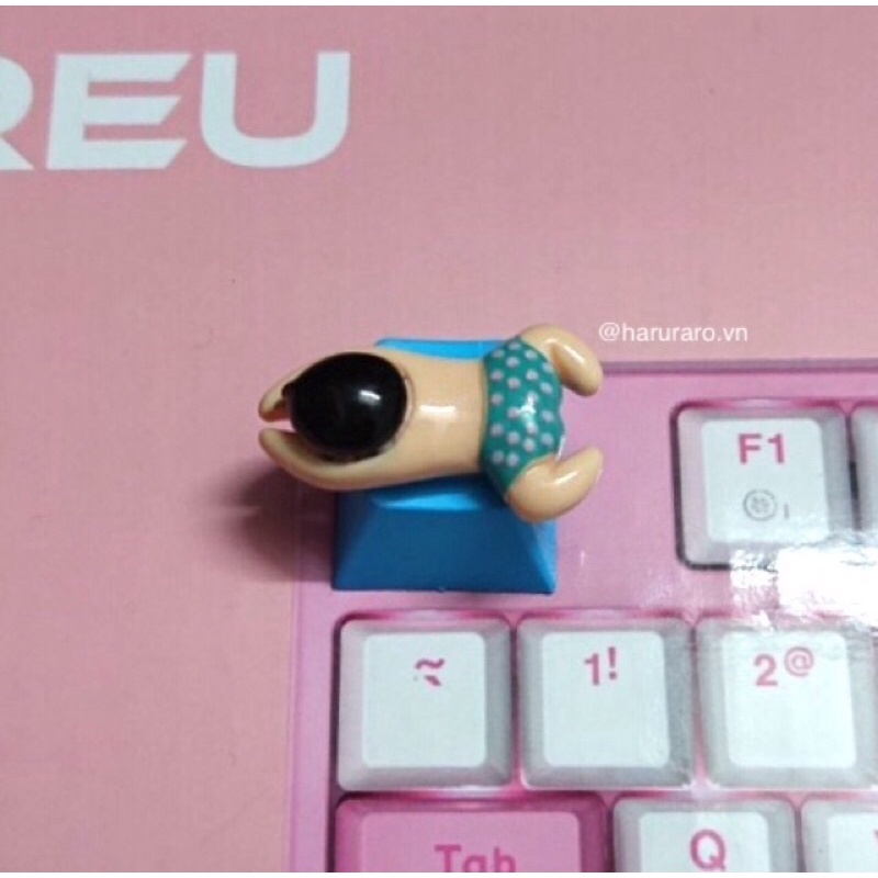 Keycap_nút phím cơ Người bơi ếch
