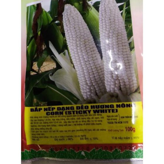 HẠT GIỐNG BẮP NẾP TRẮNG DẺO - GÓI 100 GRAM