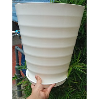 4 chậu vân sóng kèm đĩa hứng nước phi 32cm cao 36cm