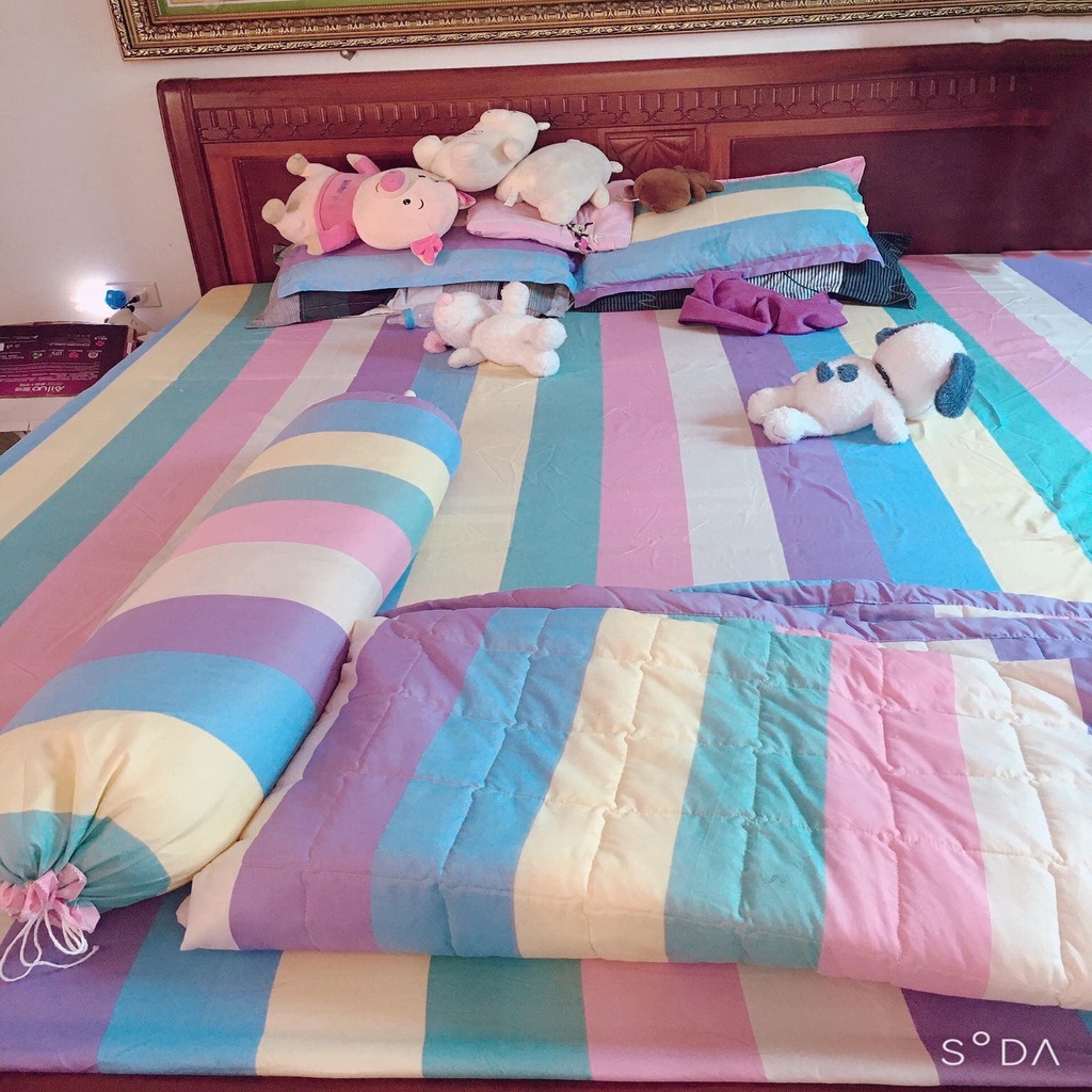 Bộ Ga Gối Poly Cotton Felicia 3 Món Mẫu KẺ CẦU VỒNG m2/m6/m8/2m2, Drap Bo Chun + 2 Vỏ Gối Poly Cotton