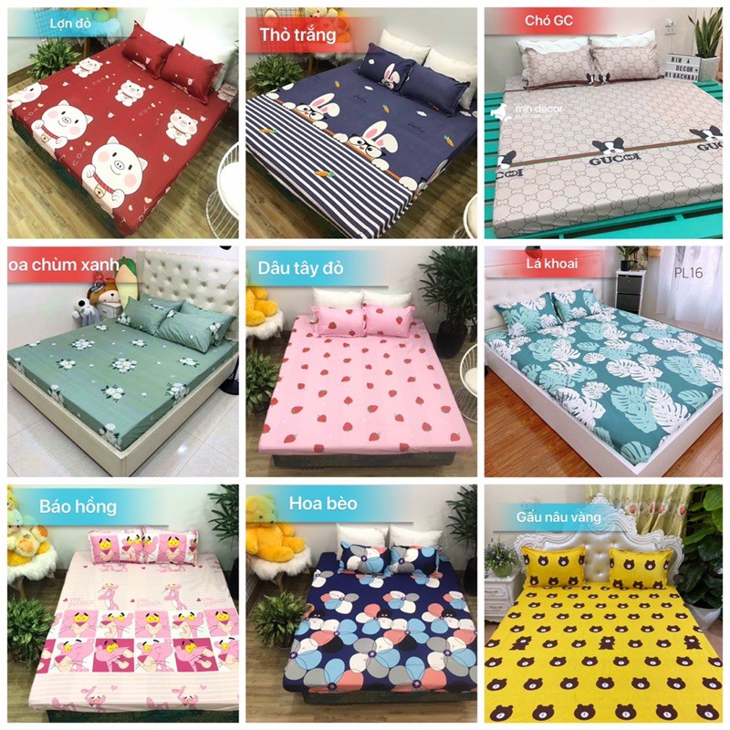 Ga Giường, Drap Giường 3 Món【RẺ BỀN ĐẸP】Ga Chun Kèm Vỏ Gối Cotton Poly Kích thước m6/ m8/ 2m2 (Ảnh thật, được chọn mẫu)