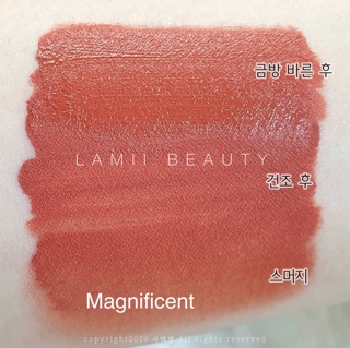 Son Pony Effect Stayfit Matte Lip Color