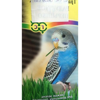 Thức ăn hamster hạt cỏ lùng