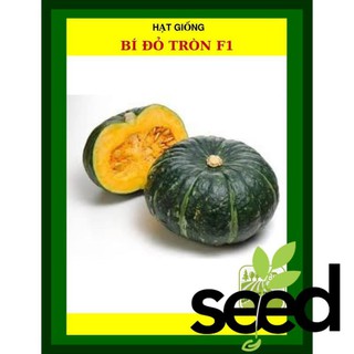 Hạt Giống Bí Đỏ Tròn F1 - 2G