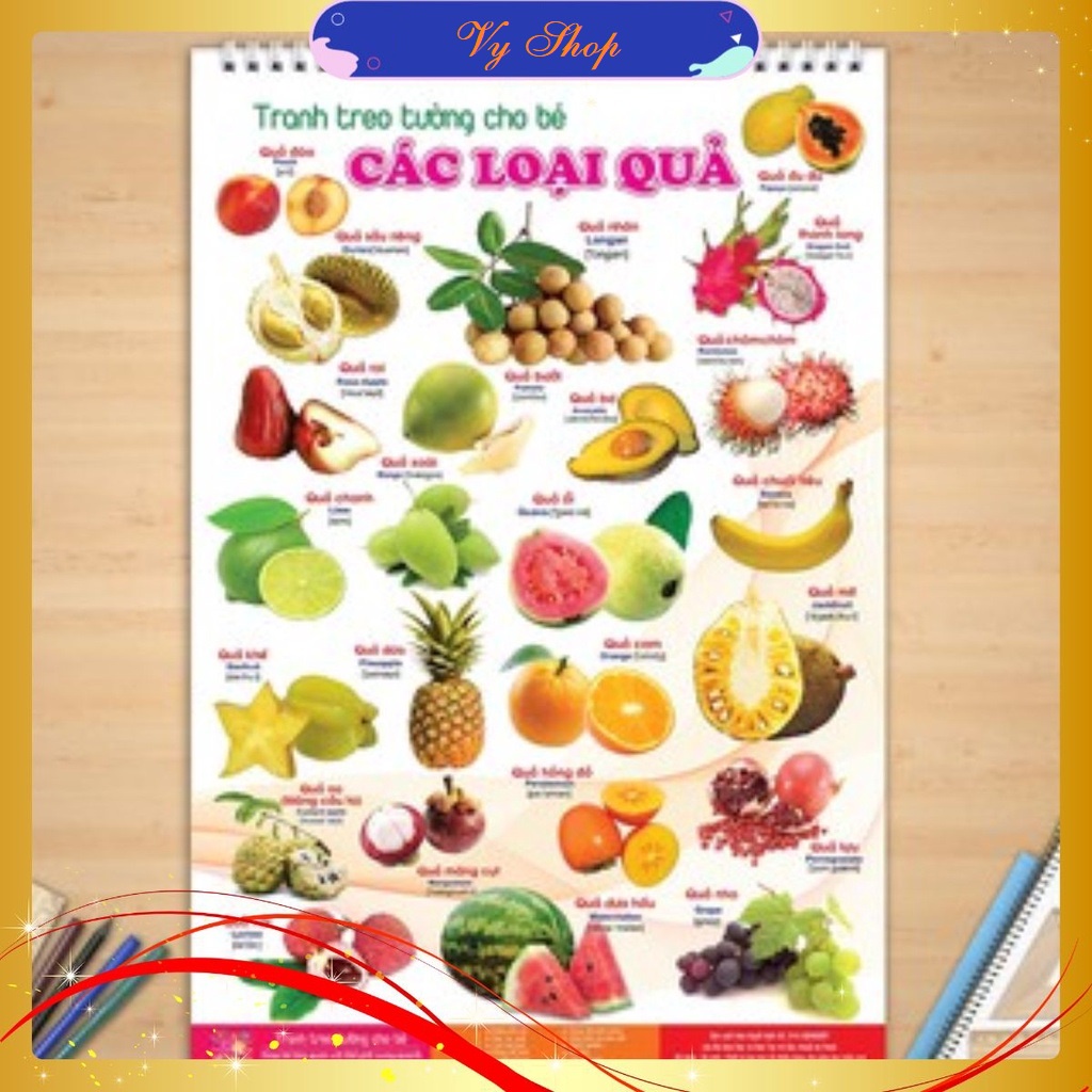 Bộ Tranh Treo Tường 14 Chủ Đề Cho Bé - Vy Shop