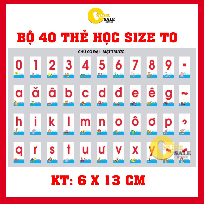 Bộ 40 Thẻ Học Flash Card Chữ Cái Và Chữ Ghép Cho Bé Size to kích thước 6 x 13 cm