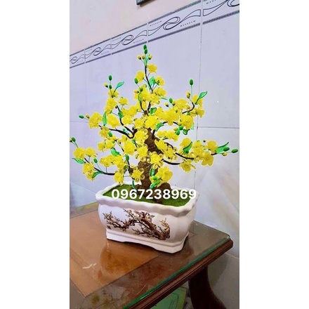 Gốc bonsai,thân cây bonsai 25-30cm dáng Trực,làm hoa mai đào trang trí nhà đón tết