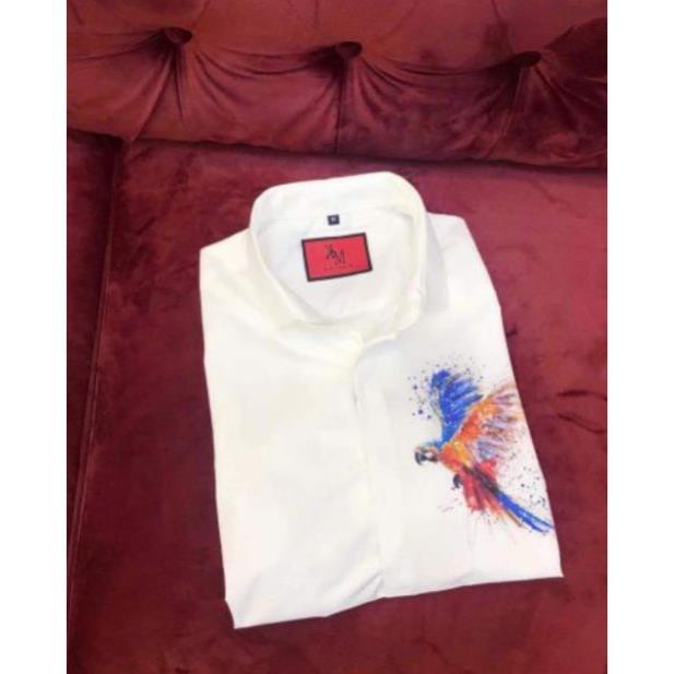 Áo sơ mi kate lụa Hot rần rần làm khuynh đảo giới trẻ siêu sang việt