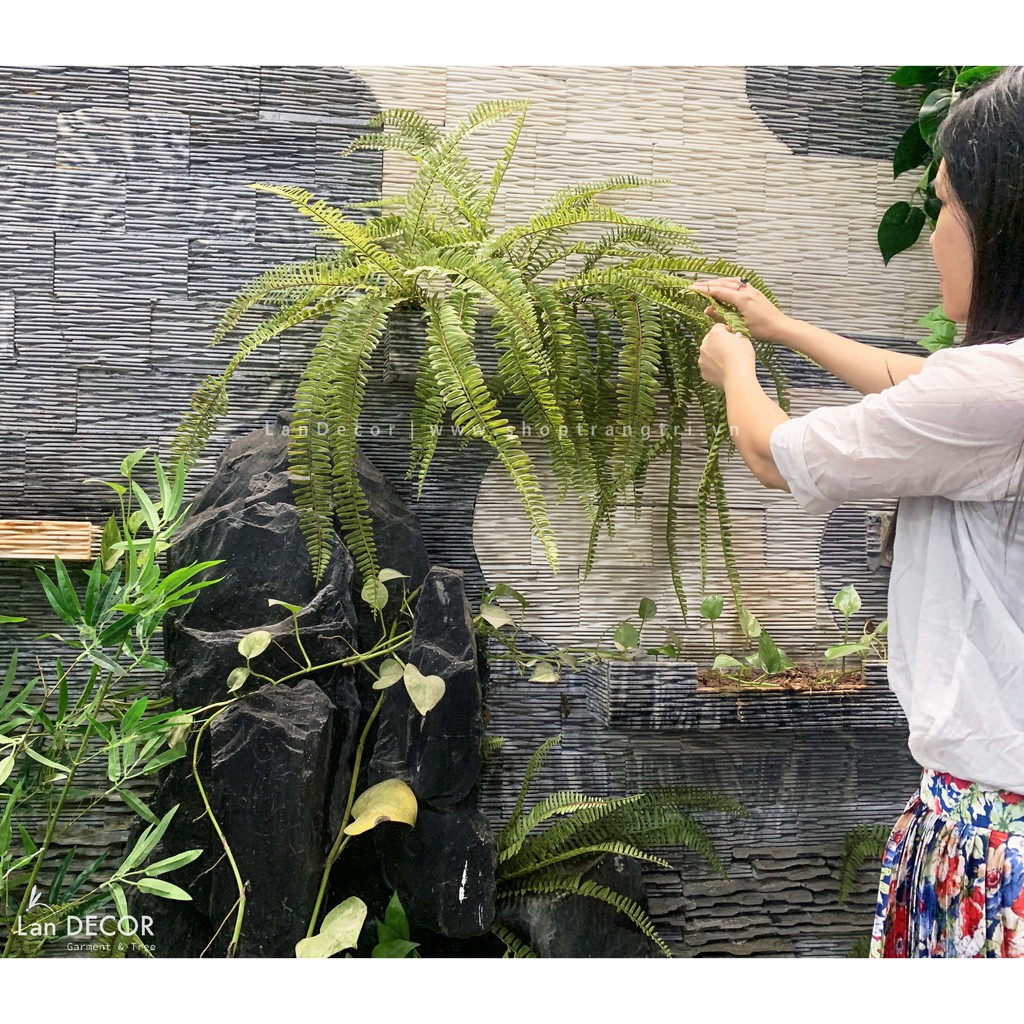 Cây giả - Cành Dương xỉ cổ đại trang trí tiểu cảnh, tường cây LanDecor