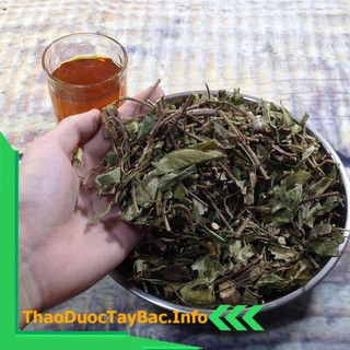 Dây Thìa Canh Khô [1Kg]