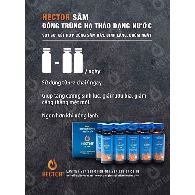 [Chính Hãng] 01 Hộp Nước Đông Trùng Hạ Thảo Hector Sâm của Công Tỷ TNHH LAVITE (Hộp 10 Chai)