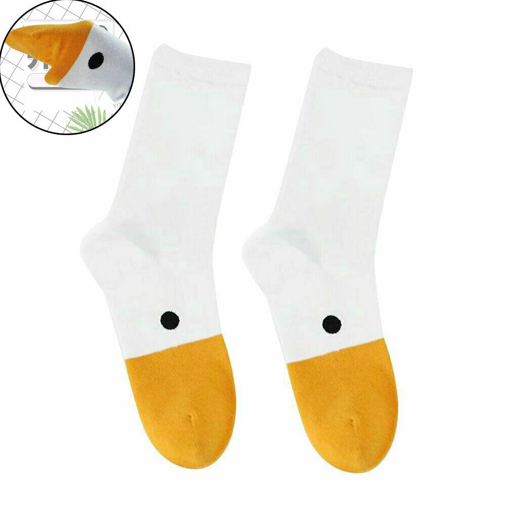 Vớ cotton in hình thú vật vui nhộn