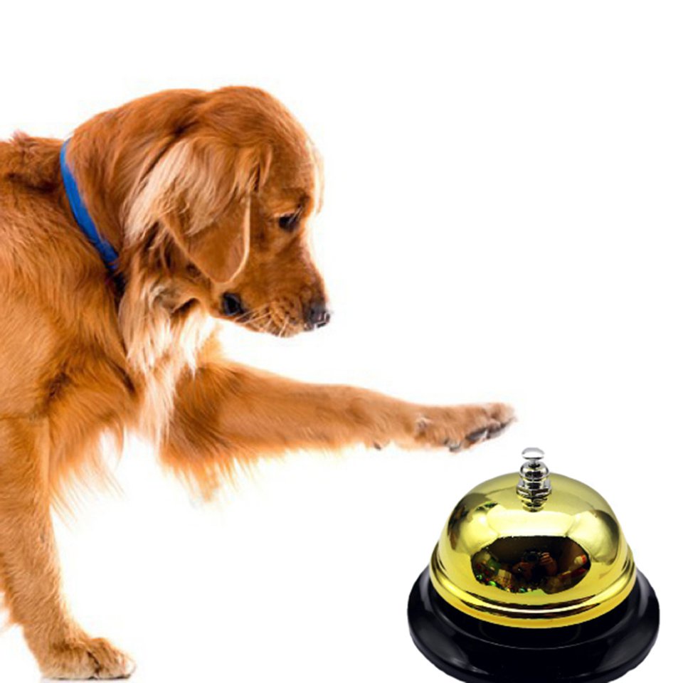 Chuông gọi phục vụ cho nhà hàng khách sạn 12-09