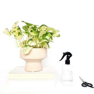 Chậu gốm chữ T, chậu gốm sứ trồng cây để bàn, chậu trồng cây cảnh, trang trí nhà cửa, trang trí nội thất