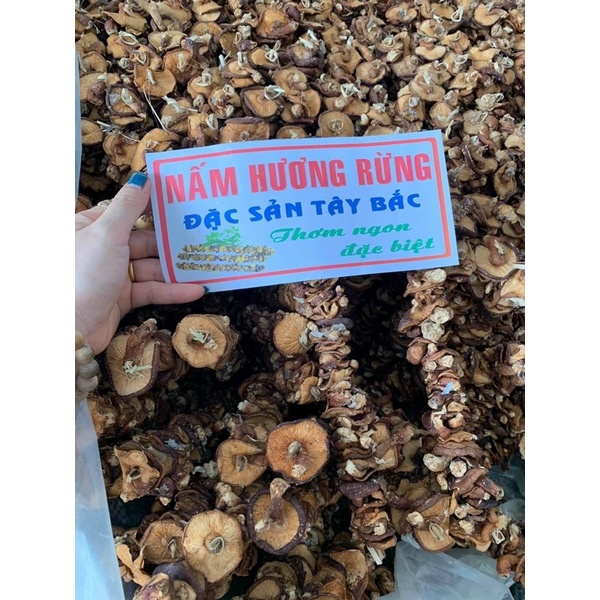 Nấm hương rừng Điện Biên