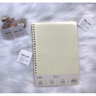 GIẤY REFILL Ruột caro sổ còng nhựa 26 chấu B5 100 tờ 120/76 TP546