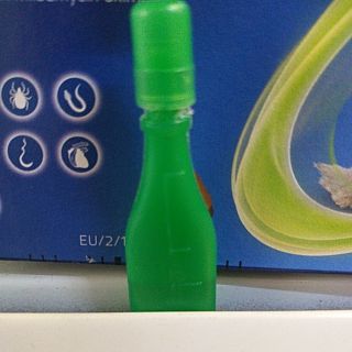 Trị ve rận ở mèo và chó