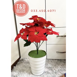 Hoa trạng nguyên giả decor