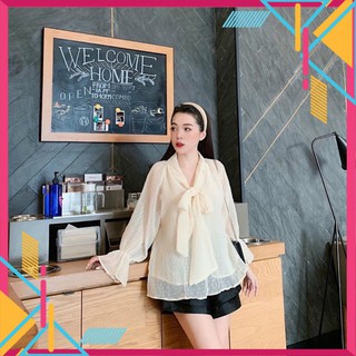 Sơ mi cổ nơ 2 lớp, áo sơ mi nữ