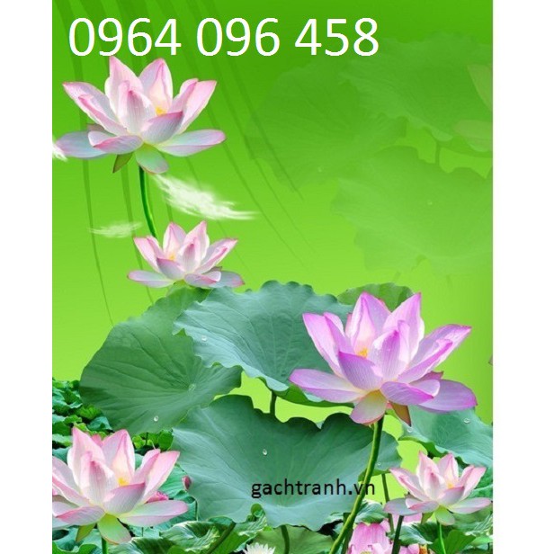 gạch ốp tường 3d mẫu tranh hoa sen - 09BV | BigBuy360 - bigbuy360.vn