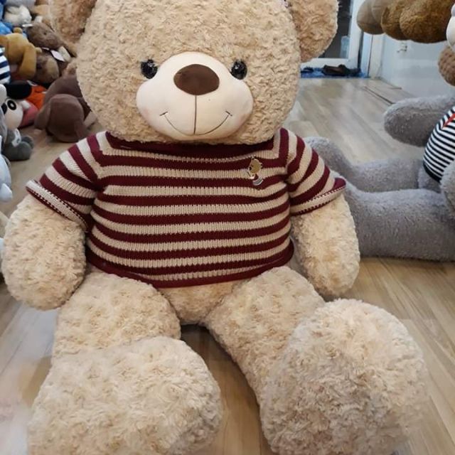 Gấu teddy sezi 1m8 nhiều màu siêu đẹp
