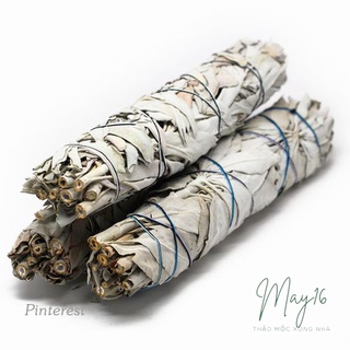 Xô thơm thanh tẩy - Sage - bó lớn 12cm