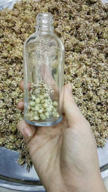 Dầu Tràm Hoa Nén MaMa 50ml