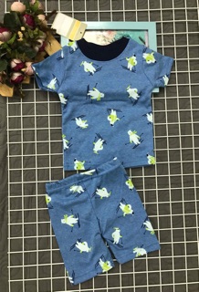  bộ lửng bé trai hiệu carter