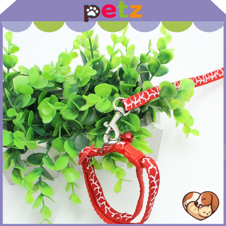 Dây xích cổ 2 lớp chó mèo (dưới 5kg) PETZ dây dắt thú cưng phụ kiện chó mèo