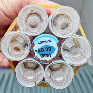 Lens gray pudding