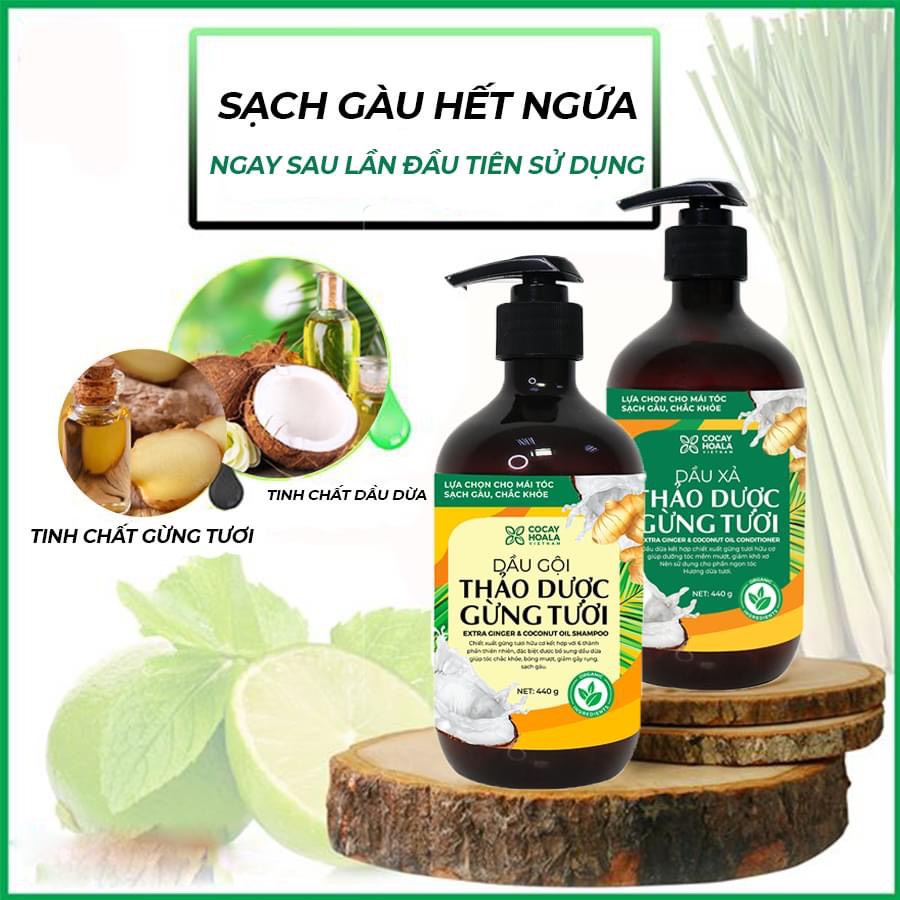 Dầu Gội - Xả thảo dược gừng dừa hữu cơ (440ml/chai)