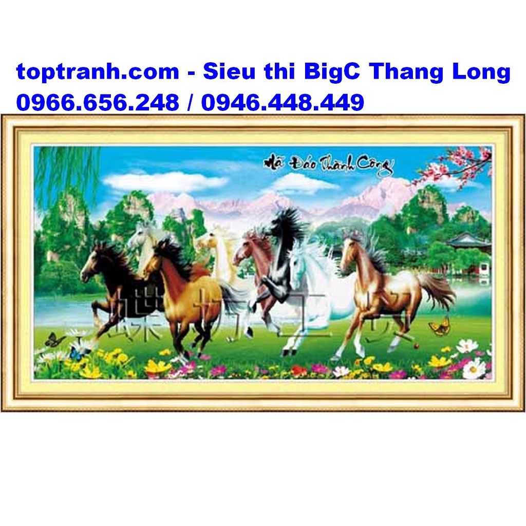 Tranh Thêu Chữ Thập Con Ngựa, Mã Đáo Thành Công 3D 222430 Chưa Thêu |  Shopee Việt Nam