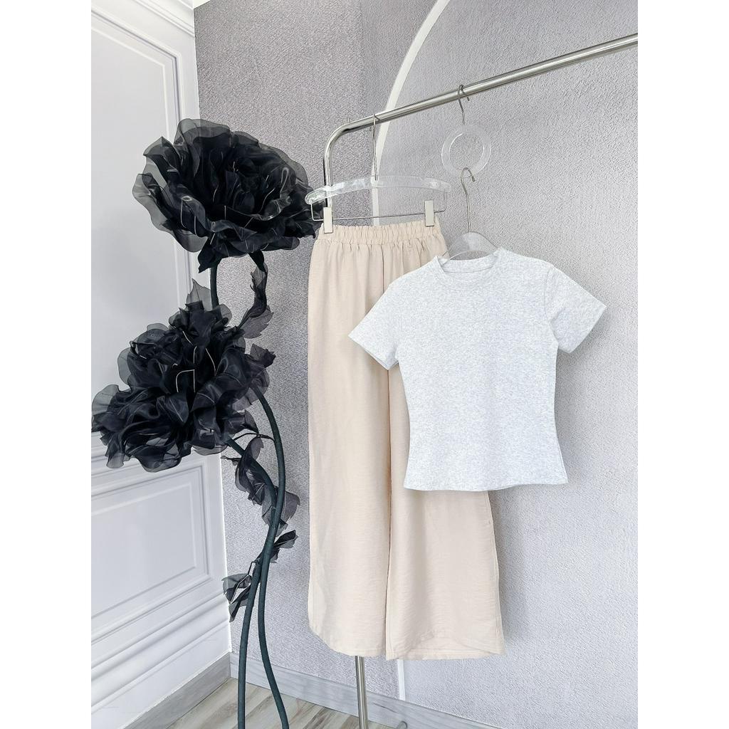 SET ÁO GÂN XÁM CROPTOP + QUẦN KEM LƯNG THUN SUÔNG (TH)