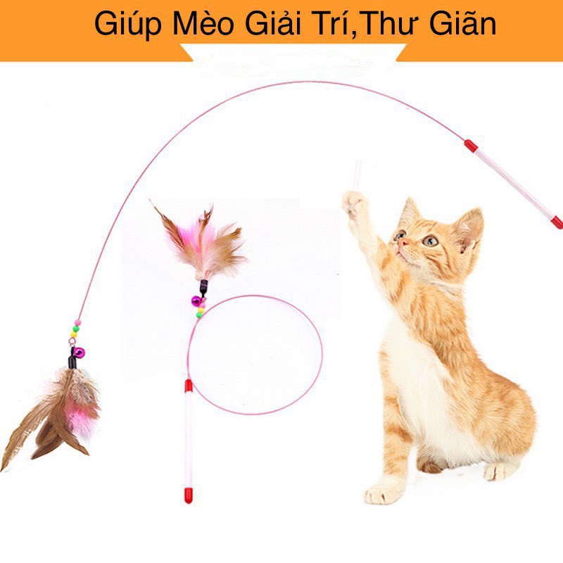 đồ chơi mèo - Cần câu mèo dây thép gắn lông vũ