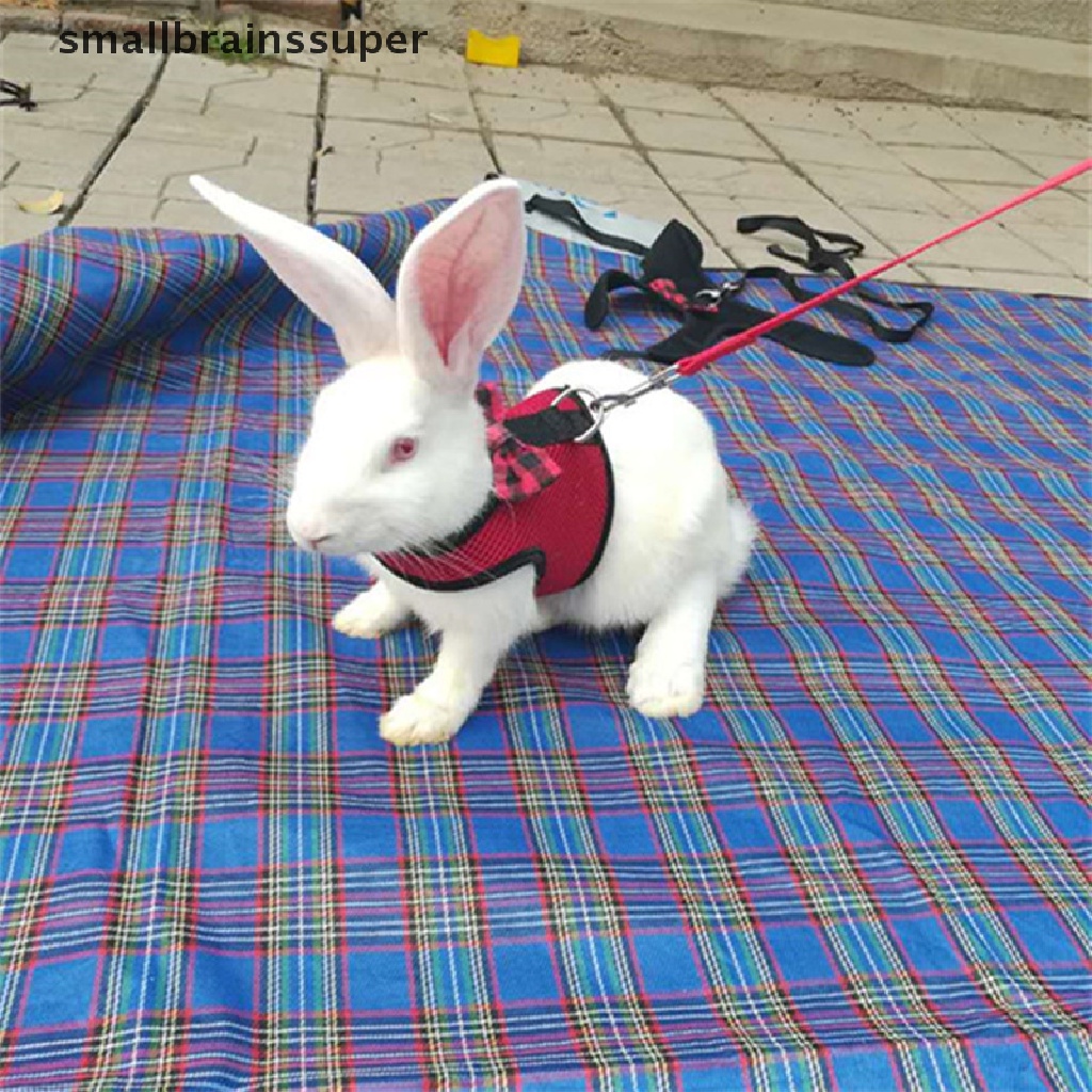 Dây đai lưới mềm mại chuyên dụng dành cho dắt thú cưng thỏ / chuột hamster