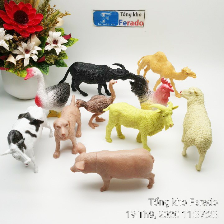 Bộ 10 mô hình đồ chơi động vật rừng cho trẻ em