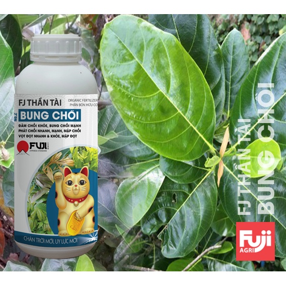 Phân bón hữu cơ bung đọt sầu riêng FJ Thần Tài Japan 1 lít