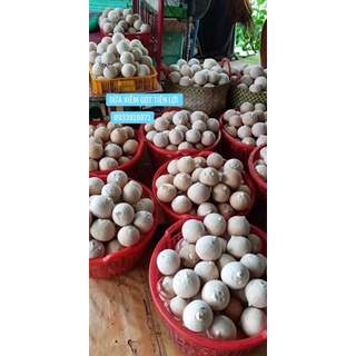 Dừa Xiêm Trọc