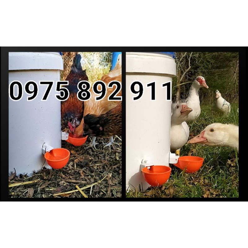 10 cái cốc máng uống tự động cho gà , vịt , chim , thỏ