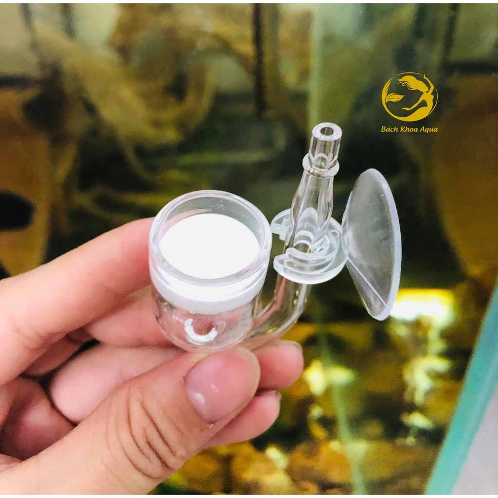 Cốc sủi Co2 thủy tinh