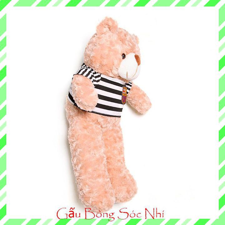 [Mua 1 Tặng 1] Gấu Bông Teddy Xinh Xắn  FREESHIP  Gấu Bông Sóc Nhí - Mua 1 Gấu Bông Teddy Tặng 1 Thước Dây Dài 1m5